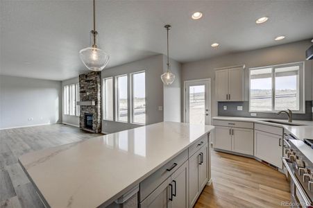 New construction Single-Family house 366 Hardstone Dr, Monument, CO 80132 - image 4