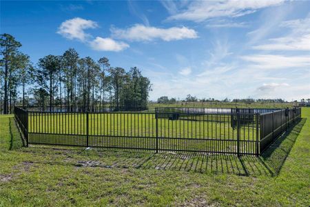 Harvest at Ovation - Townhomes by Rockwell Homes in Winter Garden - photo 11 11