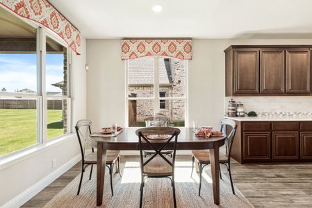 Devonshire Classic 60-65 by Bloomfield Homes in Forney - photo 17 17