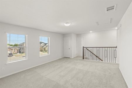 New construction Single-Family house 3312 Sedge Grass Dr, Melissa, TX 75454 plan Willow - image 17