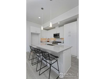 New construction Duplex house 440 Levi Lane, Unit A, Lafayette, CO 80026 Butterfly- photo 8 8