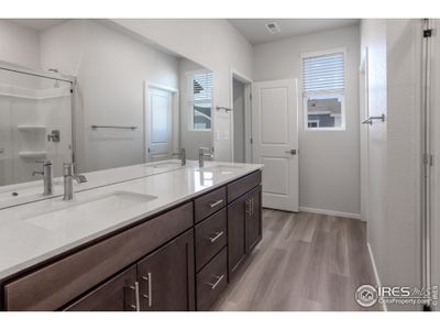 New construction Multi-Family house 2120 Falling Leaf Dr, Unit 5, Windsor, CO 80550 Vanderbilt- photo 24 24