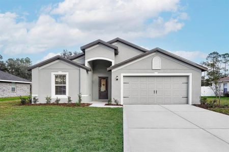 New construction Single-Family house 13 Ryken Lane, Palm Coast, FL 32164 Estero- photo 0