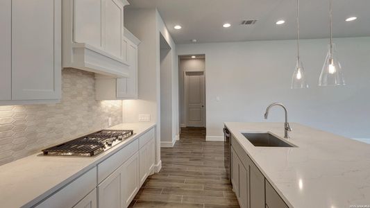 New construction Single-Family house 268 Haby Holw, San Antonio, TX 78253 plan 2504W - image 11