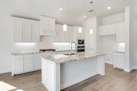 New construction Single-Family house 7316 Iris Rd, Little Elm, TX 76227 plan Rose II - image 6