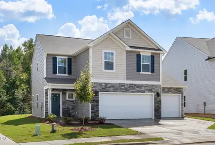 New construction Single-Family house 138 Horseshoe Pl, Unit 14, Angier, NC 27501 - image