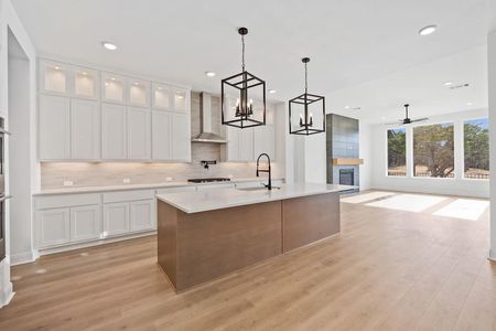 New construction Single-Family house 213 Nighthorse, Liberty Hill, TX 78642 plan Lynmar II - image 14