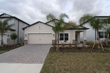 New construction Single-Family house 4763 Beachrose Way, Lakeland, FL 33811 Picasso- photo 62 62