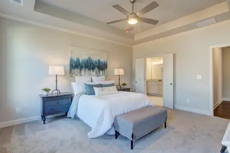 New construction Single-Family house 4 Tirian Pl, Acworth, GA 30101 - image 9