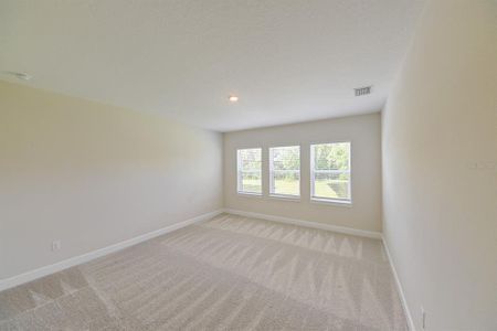 New construction Single-Family house 33750 Ocean Spray Ln, Wesley Chapel, FL 33543 Patterson- photo 45 45