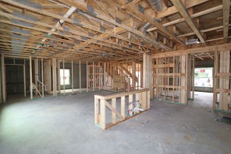 New construction Single-Family house 12252 Hilltop Farms Dr, Dade City, FL 33525 Cabo- photo 31 31