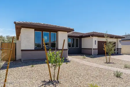 New construction Single-Family house 1245 W Via Las Brisas Ln, San Tan Valley, AZ 85140 plan Sedona - image