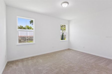 New construction Single-Family house 3712 Watercliff Cir, Grand Island, FL 32735 - image 14