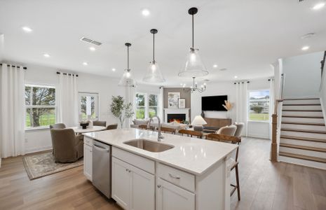 New construction Single-Family house 113 Jane Blvd, Cartersville, GA 30120 plan Frazier - image 13