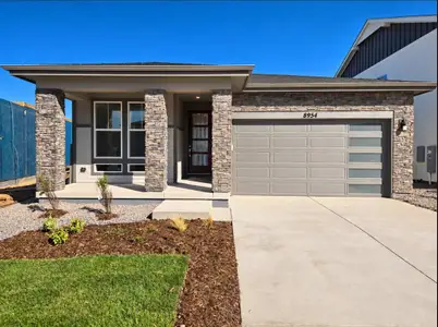 New construction Single-Family house 8954 Whiteclover St, Littleton, CO 80125 plan Bailey - image