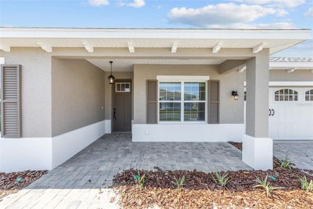 New construction Single-Family house 10977 Sw 101St Lp, Ocala, FL 34481 null- photo 5 5