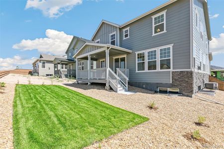 New construction Single-Family house 1871 Water Birch Way, Castle Rock, CO 80108 null- photo 37 37