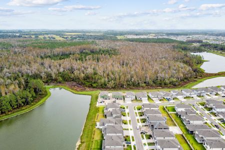 New construction Single-Family house 7819 Notched Pine Bnd, Wesley Chapel, FL 33545 Windsor- photo 160 160