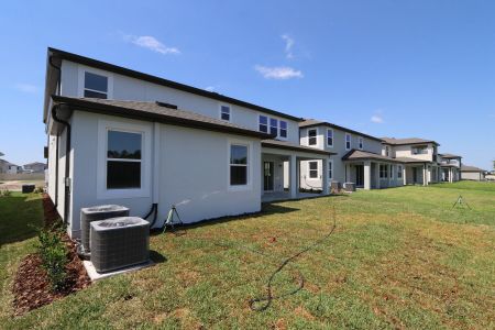 New construction Single-Family house 7819 Notched Pine Bnd, Wesley Chapel, FL 33545 Windsor- photo 4 4