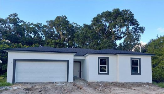 New construction Single-Family house 1677 Beasley Drive, Deland, FL 32720 - photo 0