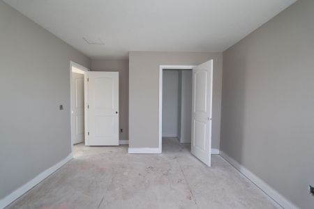 New construction Single-Family house 20050 Oriana Loop, Land O' Lakes, FL 34638 Santa Monica- photo 98 98