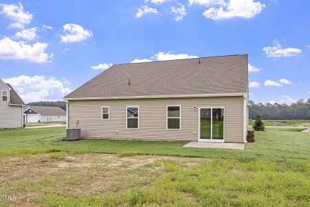 New construction Single-Family house 3836 Origin Dr, Bailey, NC 27807 - image