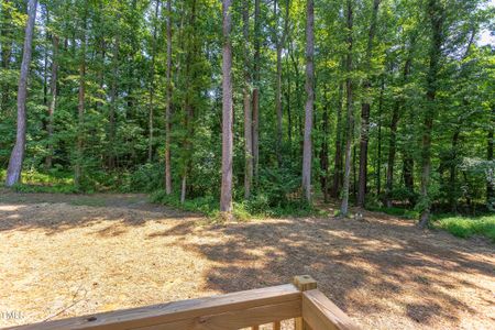 New construction Single-Family house 206 Cardinal Ct, Oxford, NC 27565 null- photo 37 37