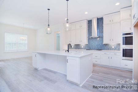 New construction Single-Family house 1069 Sage Pine Cir, Clover, SC 29710 - image 7