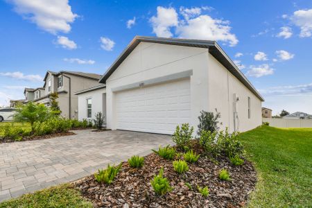 New construction Single-Family house 12193 Hilltop Farms Dr, Dade City, FL 33525 Sentinel- photo 139 139