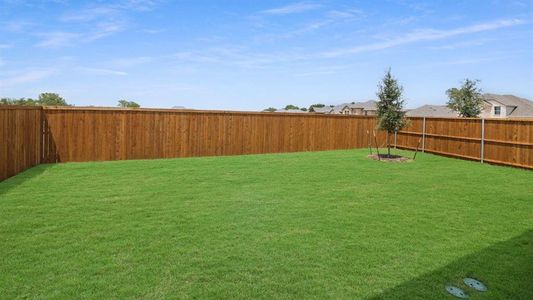 New construction Single-Family house 9229 Proteus Ave, McKinney, TX 75071 plan Chester - image