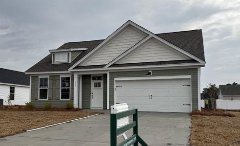 New construction Single-Family house 709 Bramble Wy, Unit 34, Conway, SC 29527 - image