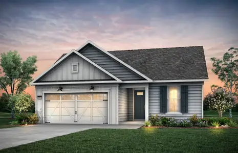 New construction Single-Family house 5575 Napa Ridge Rd, Hoschton, GA 30548 plan Prosperity - image