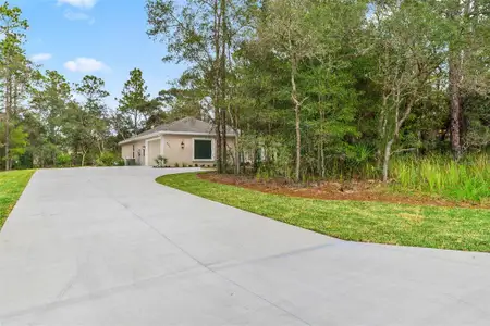 New construction Single-Family house 4931 N Mulberry Lp, Beverly Hills, FL 34465 - image