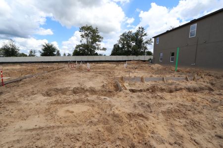 New construction Single-Family house 12168 Hilltop Farms Dr, Dade City, FL 33525 Malibu- photo 5 5