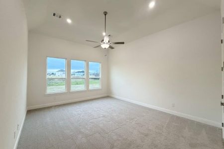 New construction Single-Family house 4009 Tamarack Ln, Royse City, TX 75189 plan Lincoln - image 18