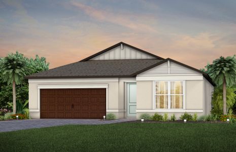 New construction Single-Family house Wesley Chapel, FL 33545 - photo 0