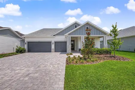 New construction Single-Family house 31537 Hayman Lp, Wesley Chapel, FL 33543 - image