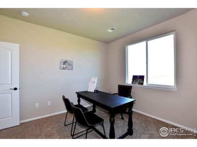 New construction Single-Family house 413 Vivid Ln, Windsor, CO 80550 null- photo 28 28