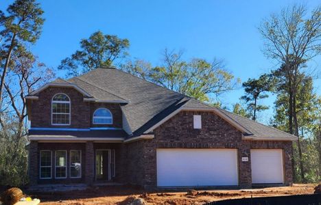 New construction Single-Family house 18318 Tammy Nell, Willis, TX 77378 Haydock- photo 0