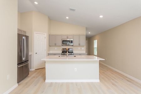 New construction Single-Family house 12137 Cattleside Dr, Riverview, FL 33579 Alicante- photo 4 4