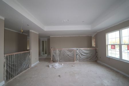 New construction Single-Family house 20125 Oriana Loop, Land O' Lakes, FL 34638 Santina II- photo 118 118