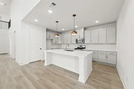 New construction Single-Family house 24918 Vervain Meadow Trl, Katy, TX 77493 plan The Dominion - image