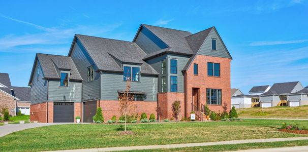 New construction Single-Family house 1040 Annecy Pkwy, Nolensville, TN 37135 plan Milan - image