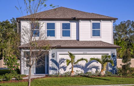 New construction Single-Family house 3684 Hornbeam Rd, Spring Hill, FL 34609 plan Williston - image