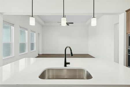 New construction Single-Family house 19712 Zook Rd, Pflugerville, TX 78660 - image 19