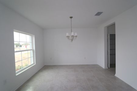 New construction Single-Family house 38350 Tobiano Loop, Dade City, FL 33525 Cabo- photo 108 108