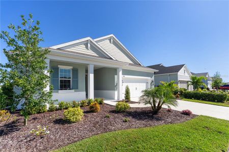 New construction Single-Family house 14526 Paddlers Xing, Parrish, FL 34219 - image