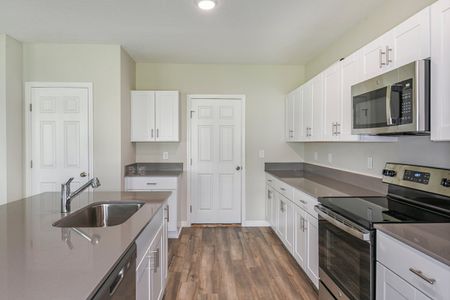 New construction Single-Family house 34620 Silent Pine Run, Dade City, FL 33525 plan Azure - image 6