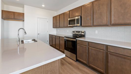 New construction Single-Family house 1448 Boyle St, Windsor, CO 80550 plan Kensington - image 10