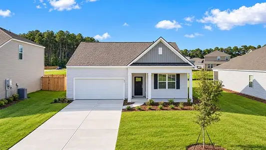 New construction Single-Family house 197 Bee Tree Blvd, Summerville, SC 29486 plan Cali - image